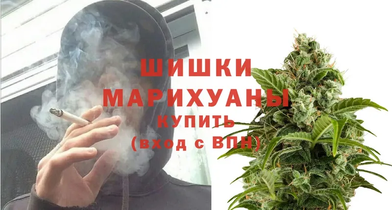 Шишки марихуана THC 21%  где купить наркоту  Жуков 